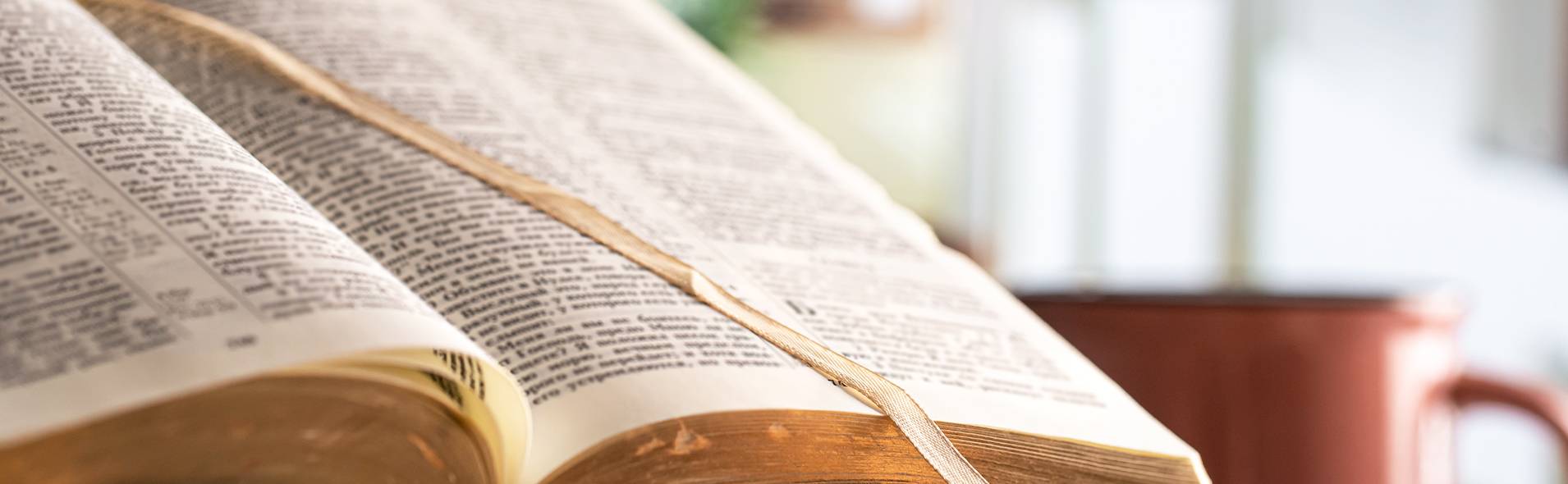 SE Mannheim Nord, Bibel